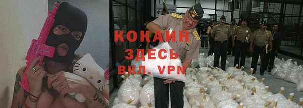 a pvp Каменногорск
