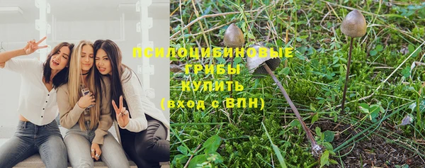 хмурый Карпинск