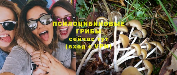 каннабис Инта