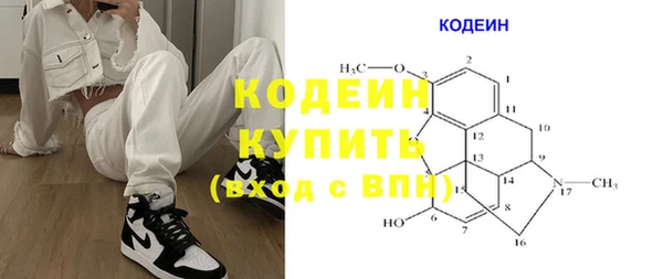 хмурый Карпинск