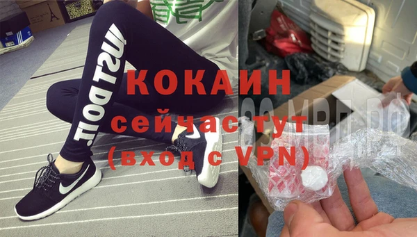 хмурый Карпинск