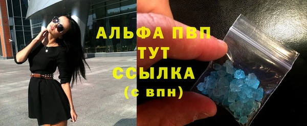 a pvp Каменногорск