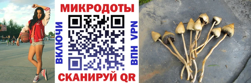сколько стоит  Уяр  Псилоцибиновые грибы прущие грибы 