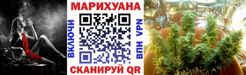 Марихуана сатива  KRAKEN tor  Уяр 